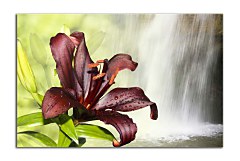 Obraz na stenu ZS - bez pomeru strán